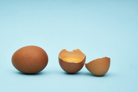 Chicken eggs whole and parts. Half an egg, egg yolk, shell
