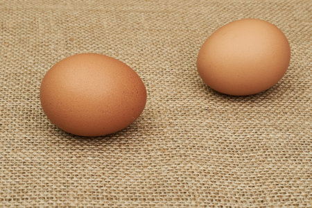 Chicken eggs whole and parts. Half an egg, egg yolk, shellの写真素材