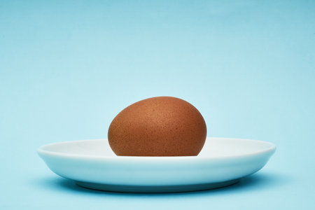 Chicken egg on a saucer, a plate. Food, protein in foodsの写真素材