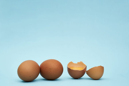 Chicken eggs whole and parts. Half an egg, egg yolk, shell
