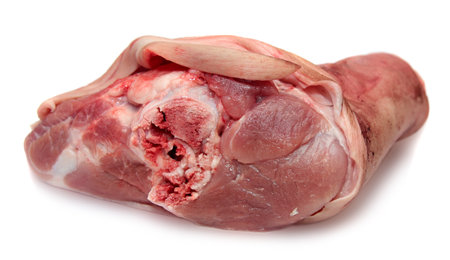 raw fresh meat, pork ham . Shooting on a white .の写真素材