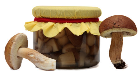 Marinaded mushrooms and Wild Foraged Mushroom isolated on white backgroundの写真素材