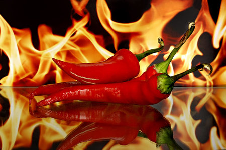 Red chili peppers. Sharp red siliculose pepper against a flame. With reflection in a mirror.の写真素材
