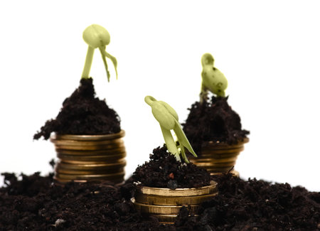 Golden coins in soil with young plant. Money growth concept.   white backgroundの写真素材