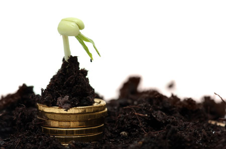 Golden coins in soil with young plant. Money growth concept.   white backgroundの写真素材