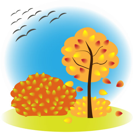 autumn . Autumn landscape with yellow trees and ?????????? birds.のイラスト素材