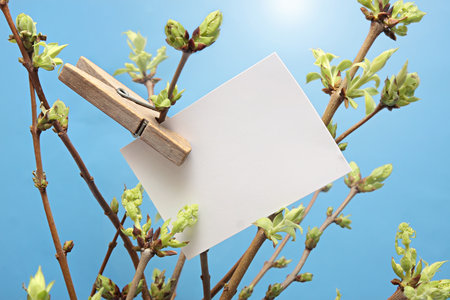 message written on a white card hanging on a green leafy branch by a wooden clothes peg.の写真素材