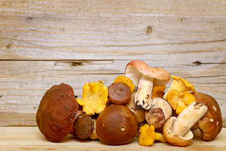 Mushroom Boletus over Wooden Background. Autumn Cep Mushrooms picking.の写真素材