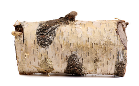 birch log isolated on a white background. wooden log firewoodの写真素材