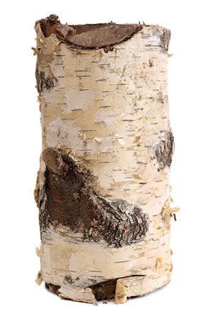 birch log isolated on a white background. wooden log firewoodの写真素材