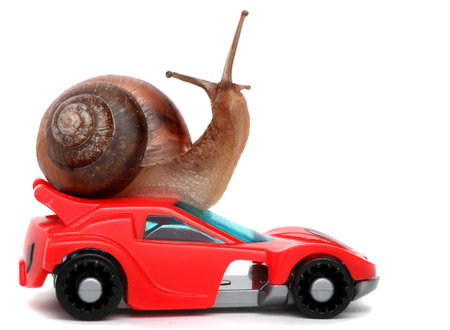 Speedy snail like car racer. Concept of speed and success. Wheels are blur because of moving. Isolated on white backgroundの写真素材