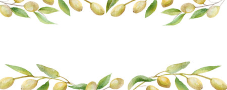 Beautiful lush watercolor banner with olive tree branches with ripe olive berries and green leaves. The composition of the olive tree Aquarelle for the background, texture, pattern wrapの写真素材