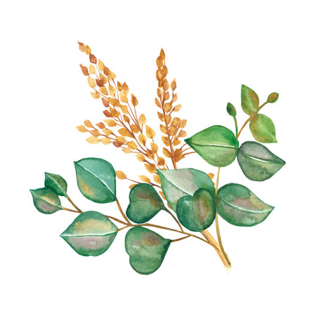 Watercolor hand painted nature greenery frain fields cereals plants composition with green eucalyptus leaves and yellow ear of grain bouquet on the white background for cards designの写真素材