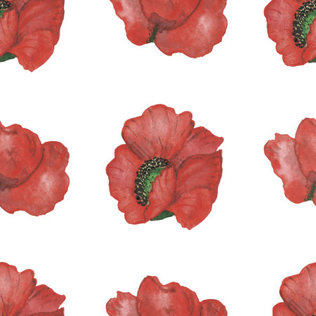 Watercolor hand painted nature floral seamless pattern with red poppy flowers composition texture isolated on the white background for print design elementsの写真素材