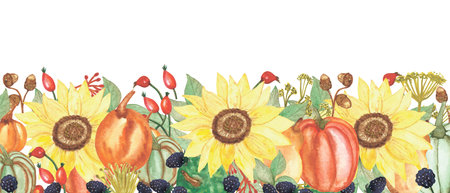 Watercolor hand painted nature autumn plants banner line with yellow sunflower, orange and green pumpkin, red rosehip, blackberry, acorn and dry herb branches composition on the white backgroundの写真素材