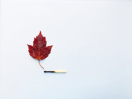 A match that sets fire to a forest, a match, and an autumn leaf. a burning match can cause a fire in the forest.の写真素材