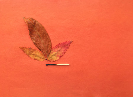 A match that sets fire to a forest, a match, and an autumn leaf. a burning match can cause a fire in the forest.の写真素材