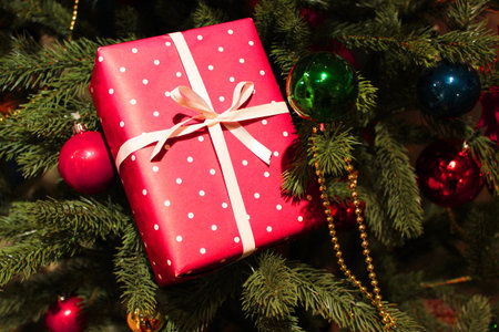 Christmas tree pine place for lettering christmas background New Years still life, Christmas tree...