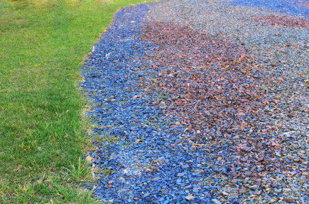 Painted decorative shavings on a lawn with grass and trees. Colorful summer and autumn background. delicate texture of stone chips and wood chipsの写真素材