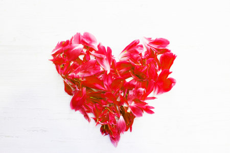floral leaves on the table for the holiday .. postcard, congratulations to March 8. women's Day. valentine's day, mother's day. Spring background table. flowers on pink. For a banner on the background. Dreamy romantic image, copy space. High quality photoの写真素材