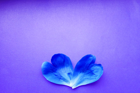 floral leaves on the table for the holiday .. postcard, congratulations to March 8. women's Day....
