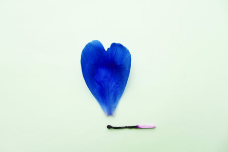the match bursts love, the fire of loveの写真素材