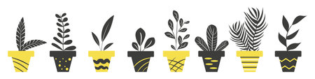 A set of different pots with home plants black and yellowのイラスト素材
