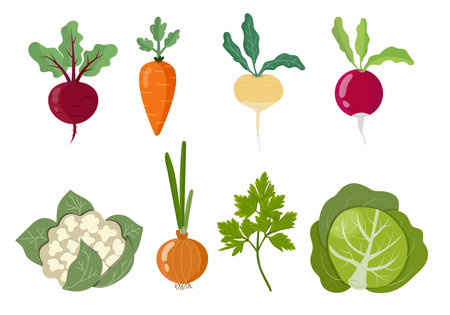 Set of colorful home grown vegetables, isolatedのイラスト素材