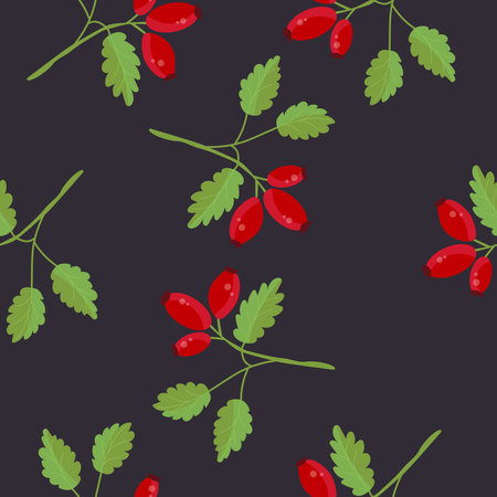 Seamless pattern of rosehip branches and berriesのイラスト素材