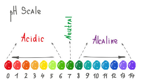 Horizontal pH scale for measuring acid alkaline balance. Chemical value test. Doodle infographics with indicator chart. Hand drawn vector illustrationのイラスト素材
