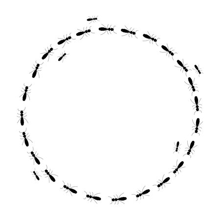 Round frame. Ant trail silhouette, a path of insects in search of food. Isolated on white backgroundのイラスト素材