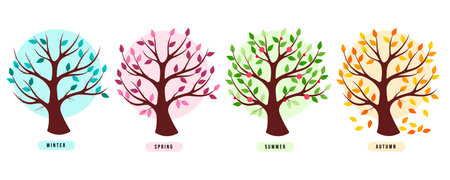 Four trees according to the seasons with titleのイラスト素材