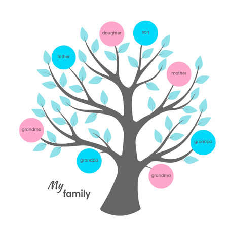 Family tree with blue and pink circlesのイラスト素材