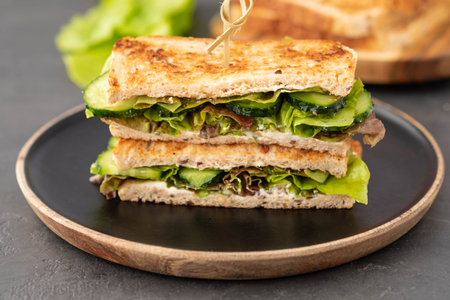 Healthy vegetarian sandwich with arugula, lettuce and avocado, mustard,cucumber. Close-up. Healthy food.の写真素材
