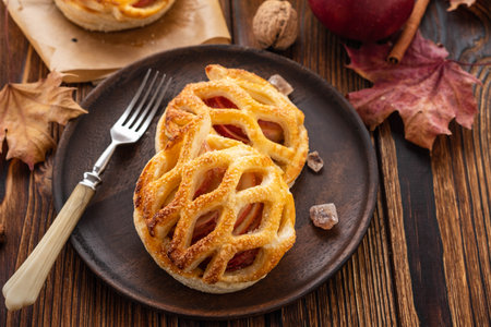Homemade Apple pie or tart on autumn background. Autumn concept. Copy space.の写真素材