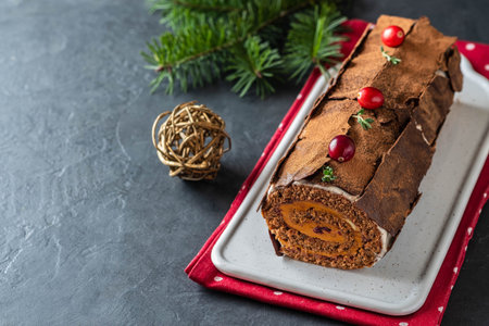 Buche de Noel. Traditional Christmas dessert, Christmas yule log cake with chocolate cream, cranberry. On stone gray background with Christmas tree branches.の写真素材