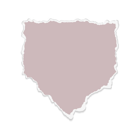 Vector clippings in the form of a dialogue, directions. Torn pieces of paper on a white background.のイラスト素材