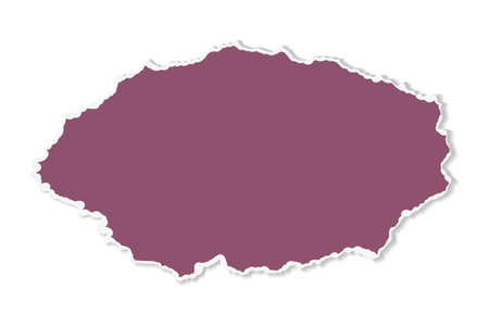 Vector scraps in the shape of an oval. Torn pieces of paper on a white background.のイラスト素材