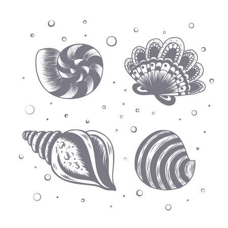 Hand drawn seashells with water bubbles. Vector illustration on a white backgroundのイラスト素材