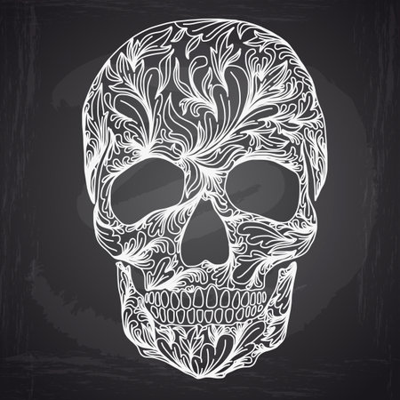 Vector illustration with Hand Drawn Skull. Day of The Dead colorful Skull with ornament.のイラスト素材