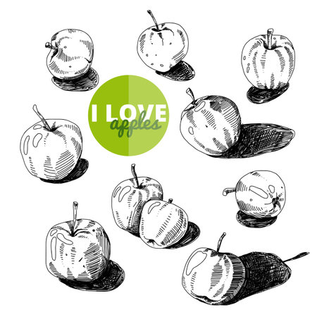 Hand drawn vector illustration. Apples set. Vintage. Sketch.のイラスト素材