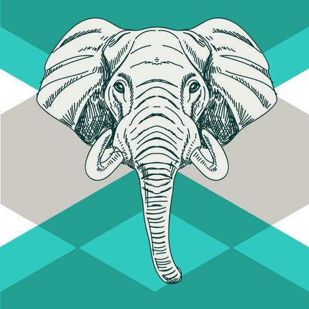 Vector hand drawn illustration with elephant head. Wild Animal. Wild life.のイラスト素材