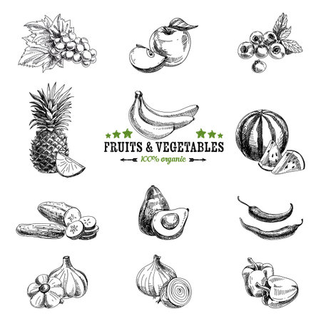 Vector set of fruit and vegetables. Healthy food. Vector illustration in sketch style. Hand drawn design elements.のイラスト素材