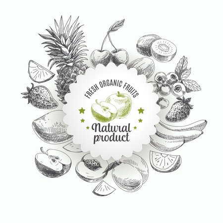 Hand drawn vector illustration with fruits and barries. Vintage. Sketch.のイラスト素材