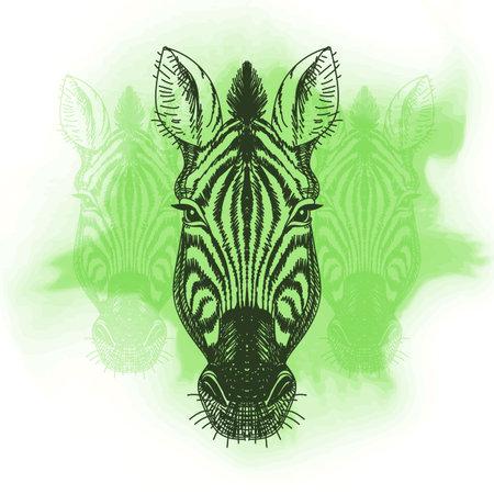 Vector illustration with zebra head. Hand drawn sketch.のイラスト素材