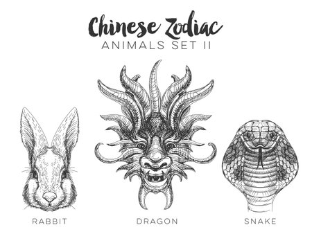 Vector set of hand drawn chinese zodiac animal. Vintage illustration with dragon rabbit and snake.のイラスト素材