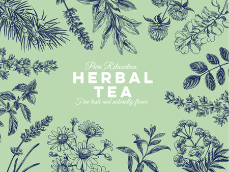 Beautiful vector hand drawn tea herbs Illustration. Detailed retro style images. Vintage sketches for labels. Elements collection for design.のイラスト素材
