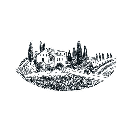 Beautiful vector hand drawn vineyard
 Illustration. Detailed retro style image. Vintage sketch element for labels, packaging and cards design. Modern background.のイラスト素材