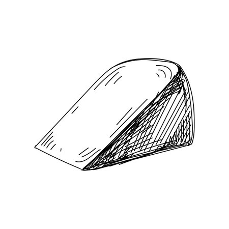 Beautiful vector hand drawn Cheese Illustration. Detailed retro style image.のイラスト素材