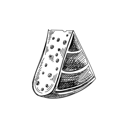 Beautiful vector hand drawn Cheese Illustration. Detailed retro style image.のイラスト素材